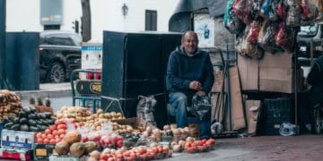 A informal trader sells fruit and vegetables on a street corner. Picture by Leo Moko/Unsplash