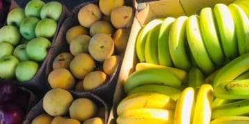 Some of the vegetables that are sold by Yanga Dlamini to feed his family