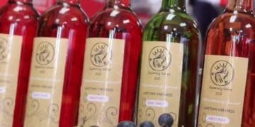 Queenery Wines that are being produced by Sthandiwe Zikode