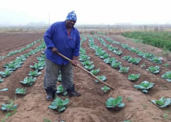 The farmer Bongani Mtshali,