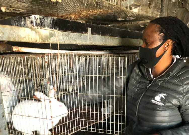 Daisy Moleko, owner of rabbit farm