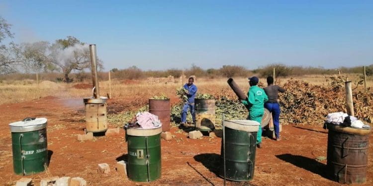 Given Ngwamba collecting waste to produce his charcoal