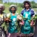 Alecia (53) started the Esigodini Farmers Primary Cooperative in 2011 in the rural area of Illovu, near Amanzimtoti in KwaZulu-Natal. Since then, she and her team have been farming for the community on a 2.5-hectare plot.