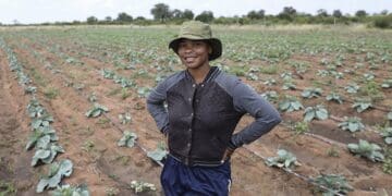 Farmer Cynthia Mokgobu Mosibudi