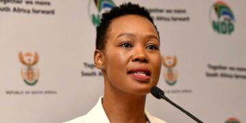 Small Business Development Minister Stella Ndabeni-Abrahams