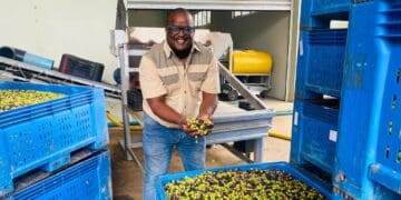 Loyiso Manga owner of Ubuntu Extra Virgin Olive Oil