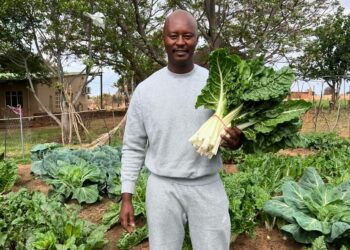 Farmer Dimpho Xaba