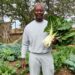 Farmer Dimpho Xaba