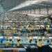 Factory workers in china producing luxurious goods sold around the world.