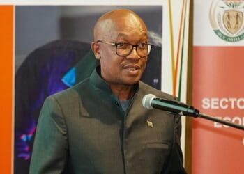 Minister of Trade, Industry and Competition, Parks Tau, led the Transport Sector Transformation Fund engagement at Deloitte, aimed at empowering SMMEs across eight sub-sectors of the transport industry. PIC by NEF