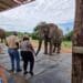 Borutho Tours and travel is ready to give tourists a taste of Limpopo hospitality.