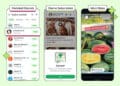 Meta launches ads in status, promoted and channel subscription for small businesses