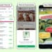 Meta launches ads in status, promoted and channel subscription for small businesses