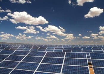 Mulilo Renewable Energy LTD proves that there's energy market in South Africa.