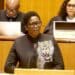 Economic development, environment, conservation and tourism MEC Bitsa Lenkopane