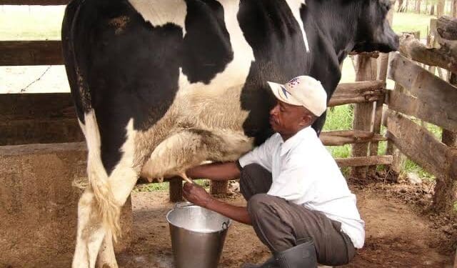 New regulations governing raw milk sales to affect small scale farmers