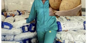Drought and floods threaten farming
