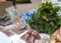Exhibitors at Limpopo Trade Show and Career Expo
