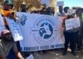 Small-scale farmers and livestock SMMEs in the North West are calling for urgent action to safeguard their businesses and livelihoods, after years of grappling with escalating crime and inadequate support.