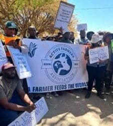 Small-scale farmers and livestock SMMEs in the North West are calling for urgent action to safeguard their businesses and livelihoods, after years of grappling with escalating crime and inadequate support.