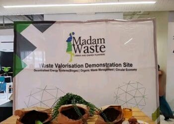 Dr Gamuchirai Mutezo, founder of Madam Waste, has built a company that focuses on waste management.
