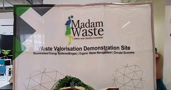 Dr Gamuchirai Mutezo, founder of Madam Waste, has built a company that focuses on waste management.