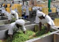 Local agro-processing businesses will get an opportunity to trade with west African companies.