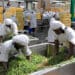 Local agro-processing businesses will get an opportunity to trade with west African companies.