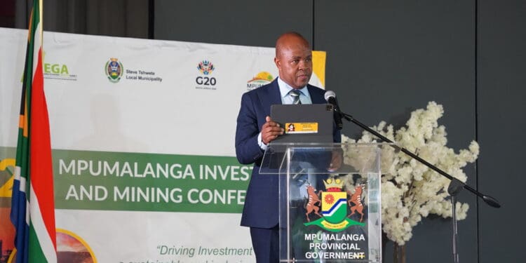 Mpumalanga Premier Mandla Ndlovu said the investment pledges are a turning point for the province.