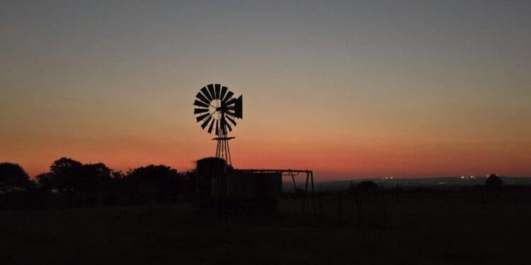 On a picturesque farm in Fochville in western Gauteng, André Badenhorst the owner of Animal Farm is taking steps to implement the Protection of Personal Information Act (POPIA). Photo. Animal Farm