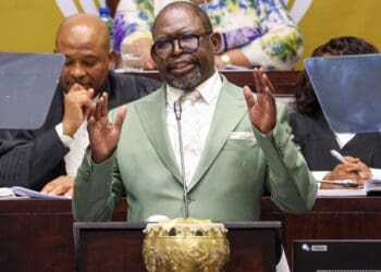 Minister of Finance Enoch Godongwana delivering his mid term budget. Photo. GCIS