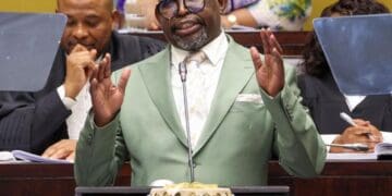 Minister of Finance Enoch Godongwana delivering his mid term budget. Photo. GCIS