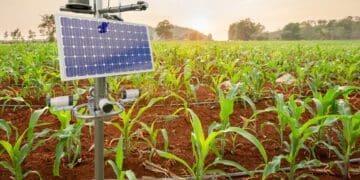 Many farmers are turning to climate-smart agriculture.