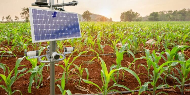 Many farmers are turning to climate-smart agriculture.