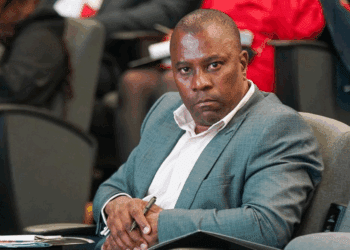 NEF CEO Mziwabantu Dayimani during the Legal Sector Code Summit.