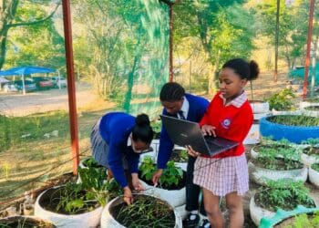 Qwa Qwa schoolgirls from Sentinel Primary School use robotics to grow the future of farming. Photo: Supplied