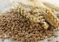 Small scale grain producers are set to benefit from a R23million government cash injection. Photo. CSPI