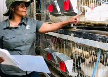 Daisy Moleka, a rabbit farmer and the owner of  MpBizRabbits. Photo: Facebook.