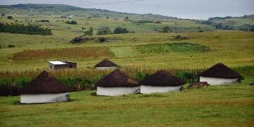 Eastern Cape village farmers are cashing in on festivities during the December holidays. Photo. Lucas Ledwaba\Mukurukuru Media