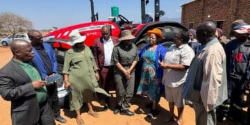 Discover how Mazeli Farming is revolutionizing agriculture with smart planning, diversification, and infrastructure investment.