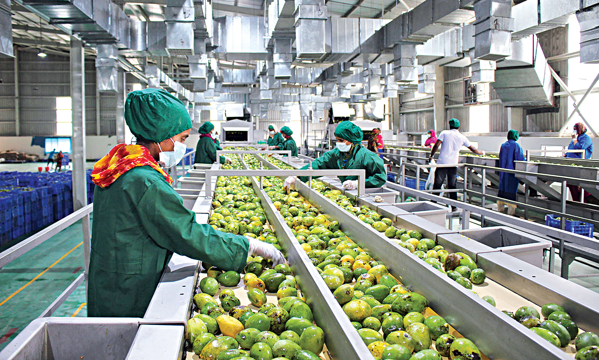 SME’s seek inclusion in SAIC agro-processing investment drive — Vutivi